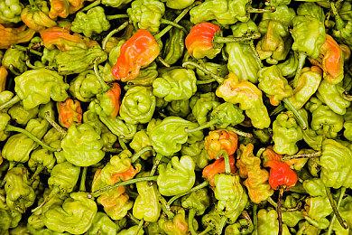 《神秘博士：现实的边缘》最新宣传视频 赛博人登场